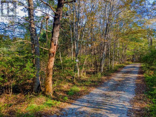 lot 2ab Borgels Drive, Home with 0 bedrooms, 0 bathrooms and null parking in Pictou, Subd. A NS | Image 32