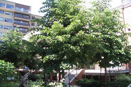 356 - 415 Jarvis St, Townhouse with 2 bedrooms, 1 bathrooms and 1 parking in Toronto ON | Image 8