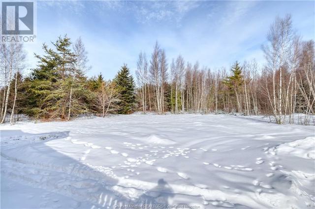 410 Stoney Creek Rd, House detached with 4 bedrooms, 2 bathrooms and null parking in Coverdale NB | Image 27