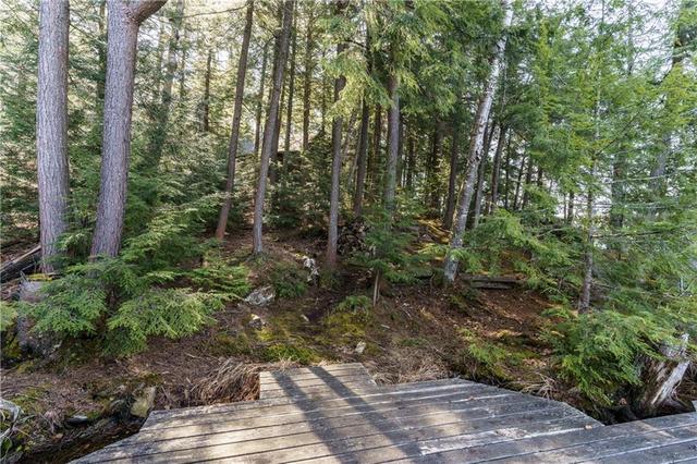 1409 West Oxbow Lake Road, House detached with 3 bedrooms, 1 bathrooms and 4 parking in Lake of Bays ON | Image 18