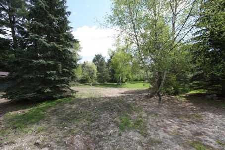 3991 Guest Rd, Home with 0 bedrooms, 0 bathrooms and null parking in Innisfil ON | Image 7
