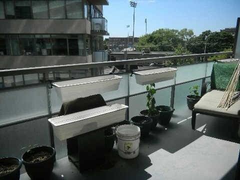 404 - 38 Joe Shuster Way, Condo with 2 bedrooms, 2 bathrooms and 1 parking in Toronto ON | Image 13