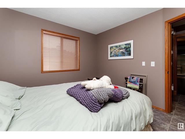 15206 49a St Nw, House detached with 3 bedrooms, 3 bathrooms and null parking in Edmonton AB | Image 29