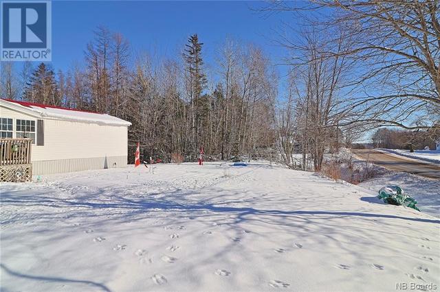 116 Bridge Street, House detached with 3 bedrooms, 1 bathrooms and null parking in Minto NB | Image 22