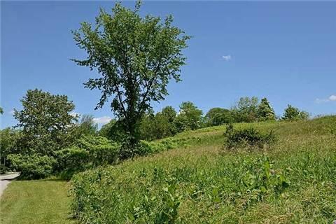 lot 52 Portage Rd, Home with 0 bedrooms, 0 bathrooms and null parking in Kawartha Lakes ON | Image 7