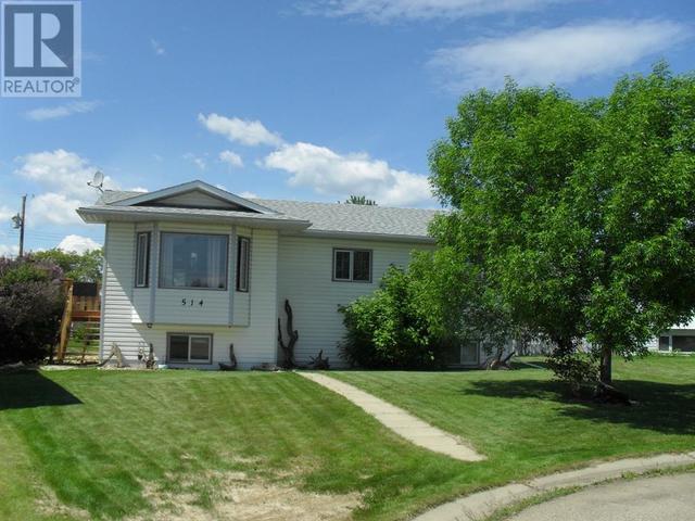 514 4th Street Ne, House detached with 5 bedrooms, 3 bathrooms and 2 parking in Manning AB | Card Image
