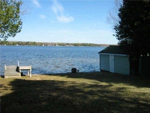 80 Mcintyre Rd, House detached with 3 bedrooms, 2 bathrooms and 6 parking in Kawartha Lakes ON | Image 3