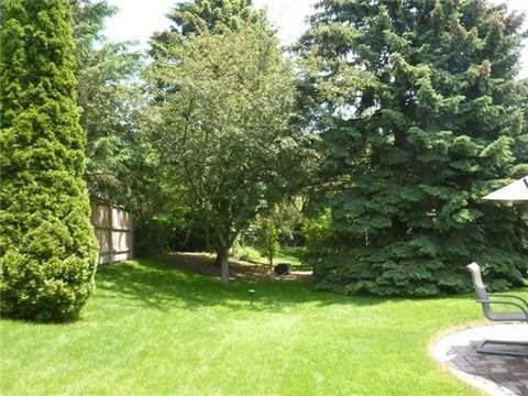 739 Tulip Crt, House detached with 4 bedrooms, 2 bathrooms and 4 parking in Oshawa ON | Image 12