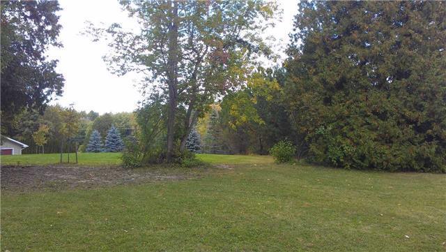640 Mountain Rd, Home with 0 bedrooms, 0 bathrooms and null parking in Collingwood ON | Image 5