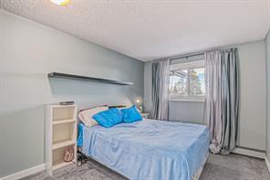 303 - 1917 24a Street Sw, Condo with 2 bedrooms, 1 bathrooms and 1 parking in Calgary AB | Image 16