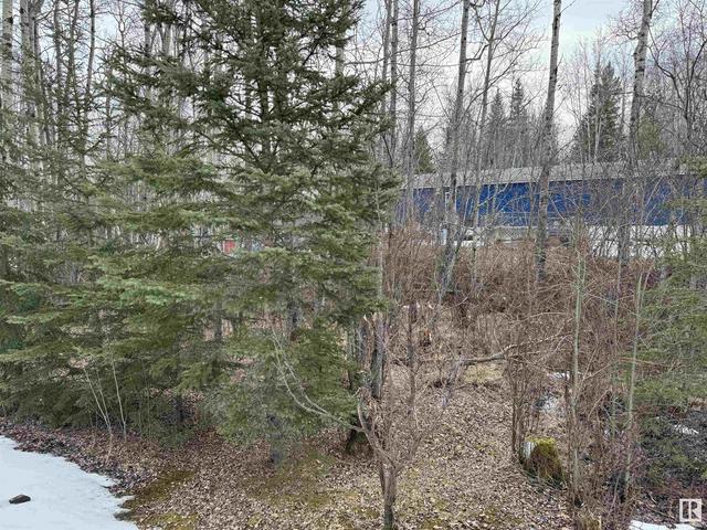 41a - 5429 Twp 494, House detached with 4 bedrooms, 2 bathrooms and null parking in Brazeau County AB | Image 45