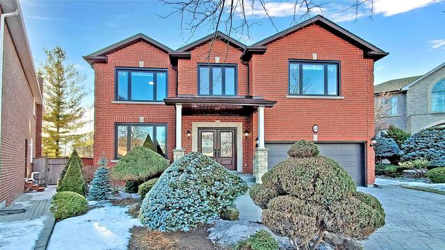 48 Wilfred Crt, House detached with 5 bedrooms, 5 bathrooms and 6 parking in Richmond Hill ON | Image 1