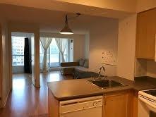 1002 - 76 Shuter St, Condo with 1 bedrooms, 1 bathrooms and null parking in Toronto ON | Image 1