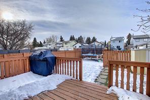 39 Castlegreen Close Ne, House detached with 3 bedrooms, 1 bathrooms and 2 parking in Calgary AB | Image 36