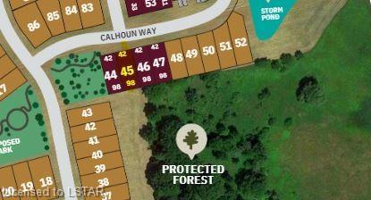 Lot 45 backing onto protected forest | Image 4