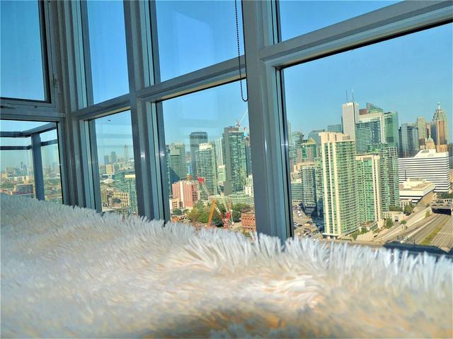 3702 - 15 Iceboat Terr, Condo with 1 bedrooms, 1 bathrooms and 1 parking in Toronto ON | Image 4