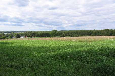 0 Pt Lot 16, Conc 11, Home with 0 bedrooms, 0 bathrooms and null parking in Kawartha Lakes ON | Image 2