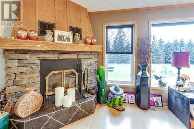 64034 Township 38 4, House detached with 4 bedrooms, 3 bathrooms and null parking in Clearwater County AB | Image 13