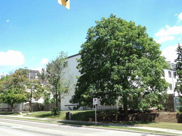 4 - 1008 Falgarwood Dr, Townhouse with 3 bedrooms, 1 bathrooms and null parking in Oakville ON | Image 1