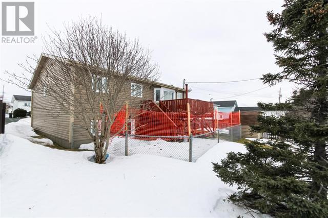 113 Michener Avenue, House detached with 3 bedrooms, 1 bathrooms and null parking in Mount Pearl NL | Image 23