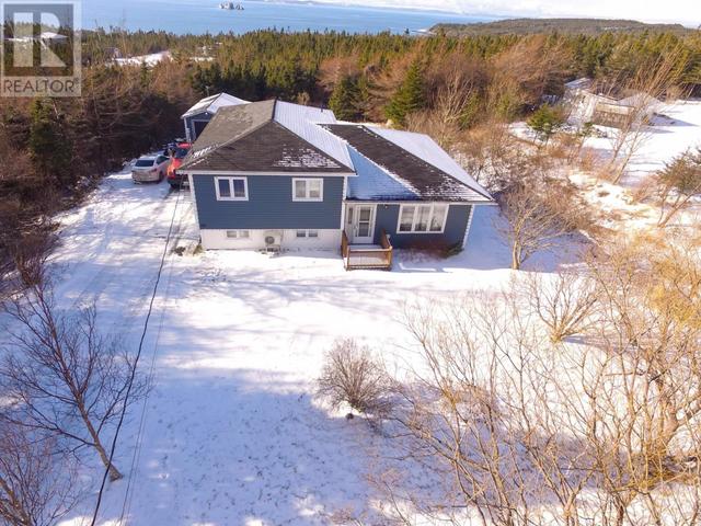 411 Trinity South Highway, House detached with 4 bedrooms, 1 bathrooms and null parking in Whiteway NL | Image 1