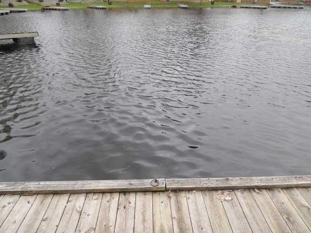 148 - 1082 Shamrock Marina Rd, Home with 3 bedrooms, 1 bathrooms and 1 parking in Gravenhurst ON | Image 24