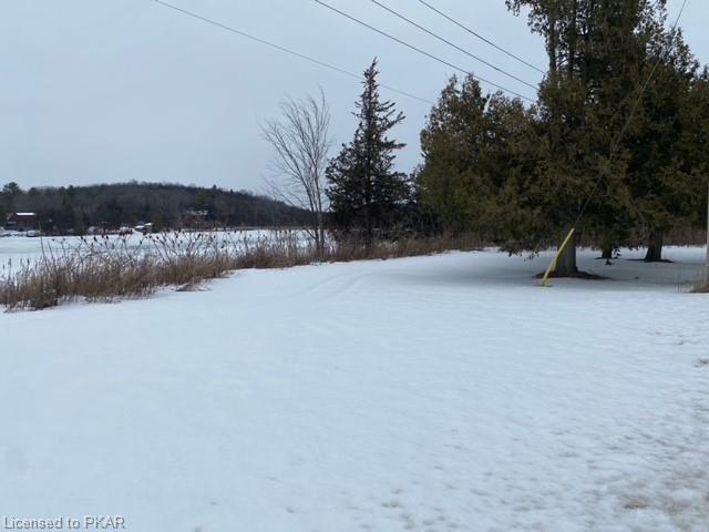 619 County Road 38, House detached with 1 bedrooms, 1 bathrooms and 5 parking in Trent Hills ON | Image 14