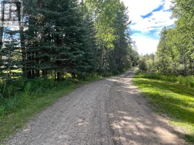 16110 Township Road 540b, House detached with 4 bedrooms, 2 bathrooms and 10 parking in Yellowhead County AB | Image 50