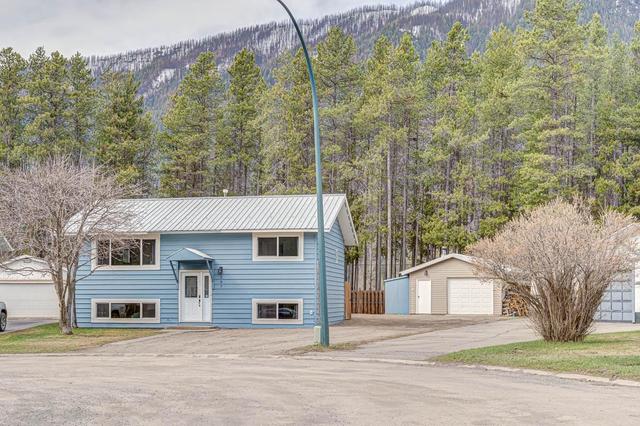 307 Lodgepole Place, House detached with 4 bedrooms, 2 bathrooms and null parking in Sparwood BC | Image 51