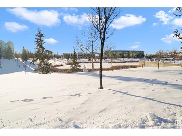 231 - 2520 50 St Nw, Condo with 2 bedrooms, 1 bathrooms and 1 parking in Edmonton AB | Image 43