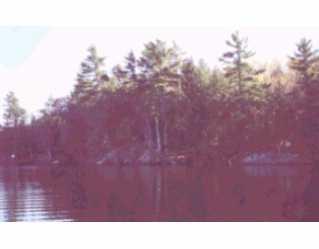 3635 Severn River, Home with 0 bedrooms, 0 bathrooms and null parking in Gravenhurst ON | Image 3