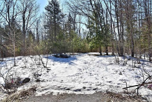 00 Highway 36 Rd, Home with 0 bedrooms, null bathrooms and null parking in Kawartha Lakes ON | Image 2