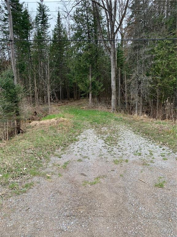 0 County Road 36, Home with 0 bedrooms, 0 bathrooms and null parking in Trent Lakes ON | Image 1