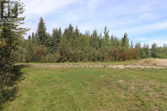54217 Highway 748 North, House detached with 3 bedrooms, 2 bathrooms and 10 parking in Yellowhead County AB | Image 29