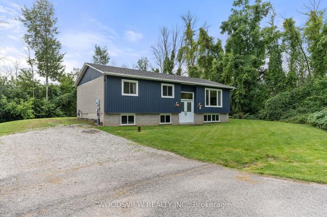 49 Carolyn St, House detached with 3 bedrooms, 1 bathrooms and 4 parking in Georgina ON | Image 22