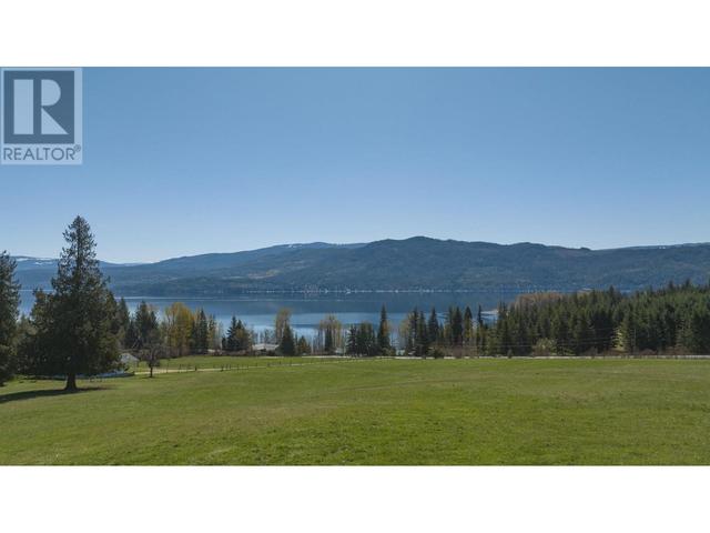 6197 Line 17 Road, House detached with 3 bedrooms, 2 bathrooms and 20 parking in Columbia Shuswap F BC | Image 44