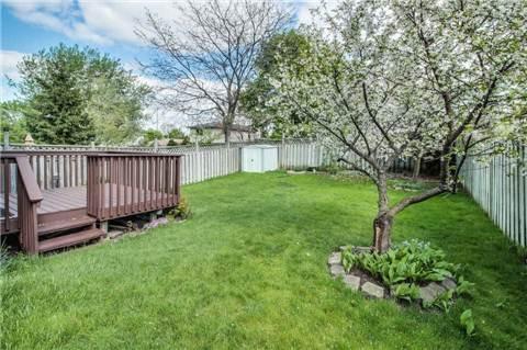 10 Mccartney Rd, House detached with 3 bedrooms, 1 bathrooms and 1 parking in Guelph ON | Image 14