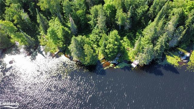 0000 Jack's Lake, Home with 0 bedrooms, 0 bathrooms and null parking in Parry Sound, Unorganized, Centre Part ON | Image 10