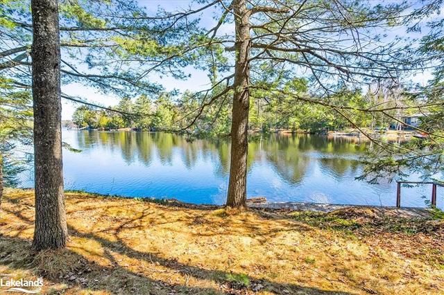 1259 Dickie Lake Road, House detached with 3 bedrooms, 1 bathrooms and 3 parking in Lake of Bays ON | Image 20