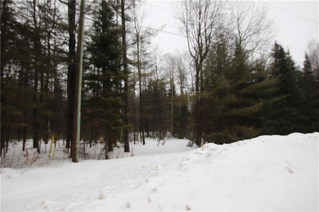 0 Rantz Road, House detached with 2 bedrooms, 2 bathrooms and 10 parking in Petawawa ON | Image 8