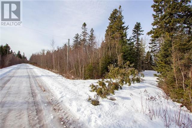 lot 965 Cape Dr, Home with 0 bedrooms, 0 bathrooms and null parking in Botsford NB | Image 7