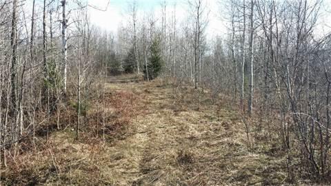 0 4 Line Ne, Home with 0 bedrooms, 0 bathrooms and null parking in Melancthon ON | Image 11