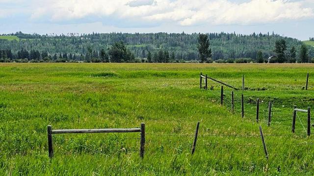 1200 Highway 584, Home with 0 bedrooms, 0 bathrooms and null parking in Sundre AB | Image 9