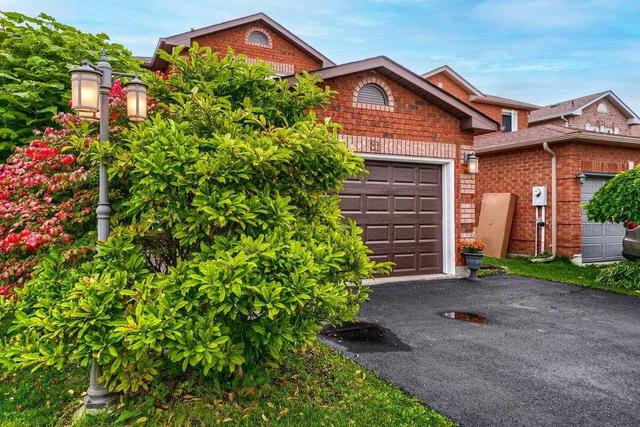 81 Smith Dr, House detached with 3 bedrooms, 4 bathrooms and 2 parking in Halton Hills ON | Image 35