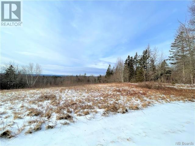 000 St. David Ridge Road, Home with 0 bedrooms, 0 bathrooms and null parking in Saint David NB | Image 1