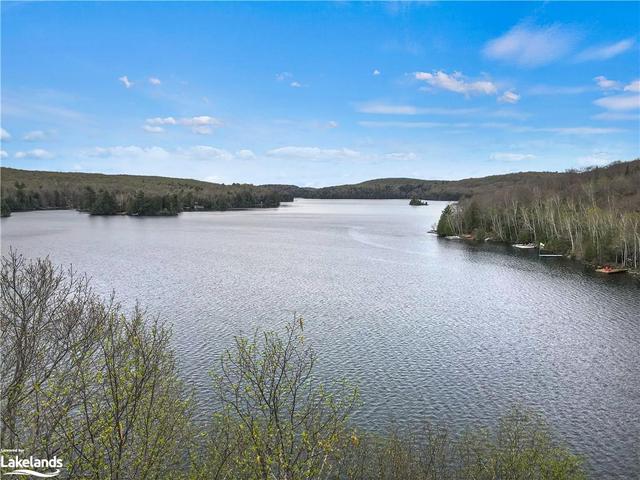 Aerial view over Loon Lake | Image 4