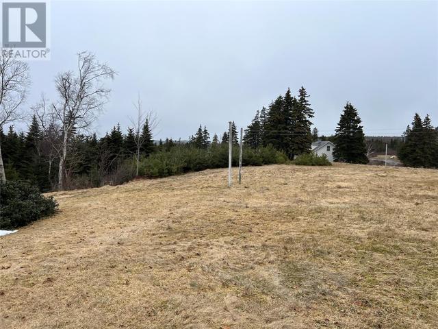 22 Reids Road, House detached with 3 bedrooms, 1 bathrooms and null parking in South River NL | Image 32