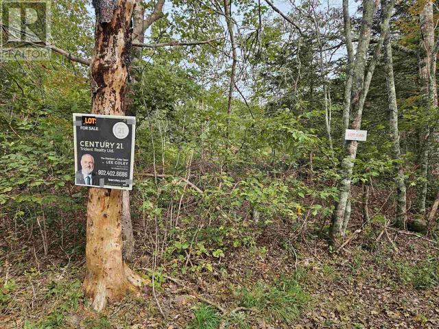 lot 2ab Borgels Drive, Home with 0 bedrooms, 0 bathrooms and null parking in Pictou, Subd. A NS | Image 5