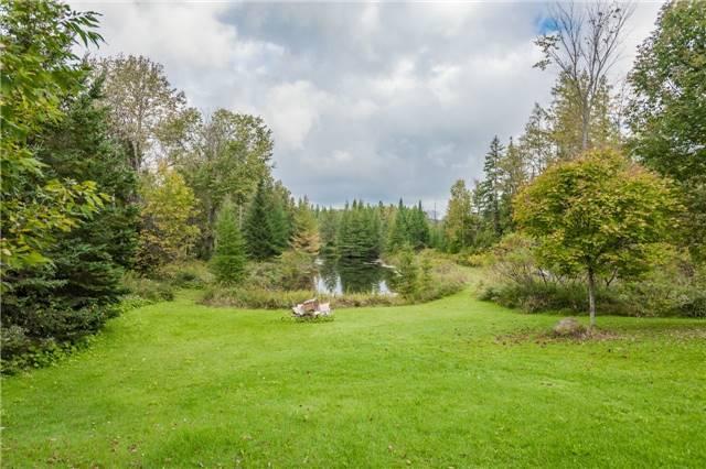 872 11th Line, House detached with 2 bedrooms, 3 bathrooms and 8 parking in Oro Medonte ON | Image 18