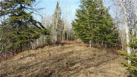 0 4 Line Ne, Home with 0 bedrooms, 0 bathrooms and null parking in Melancthon ON | Image 9